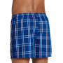 ActiveBlend® Woven 5" Boxer - 4 Pack