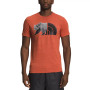 Men's Slim-Fit Bear Logo Graphic T-Shirt