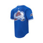 Men's Blue Colorado Avalanche Classic Mesh V-Neck T-shirt