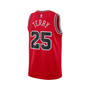 Men's and Women's Dalen Terry Red Chicago Bulls 2022 NBA Draft First Round Pick Swingman Jersey - Icon Edition