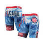 Men's Royal Chicago Cubs DNA Boxers