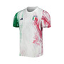 Men's Green, White Italy National Team 2023/24 Pre-Match Top