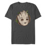 Men's Marvel Film I am Groot Wooden Badge Short Sleeve T-shirt
