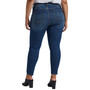 Plus Size Cecilia Mid Rise Skinny Jeans