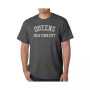 Mens Word Art T-Shirt - Queens NY Neighborhoods