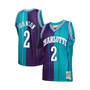 Men's Larry Johnson Teal, Purple Charlotte Hornets Hardwood Classics 1992-93 Split Swingman Jersey