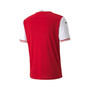 Men's Red, White Austria National Team 2020/21 Home Replica Jersey