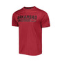 Men's Cardinal Arkansas Razorbacks Impact Knockout T-shirt