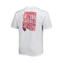Men's Branded White Arizona Cardinals Big and Tall Hometown Collection Hot Shot T-shirt