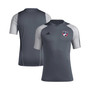 Men's Gray FC Dallas 2023 On-Field Training Jersey