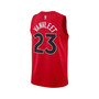 Men's and Women's Fred VanVleet Red Toronto Raptors 2022/23 Swingman Jersey - Icon Edition