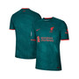 Men's Teal Liverpool 2022/23 Third Authentic Jersey