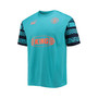 Men's Mint Manchester City Ftblheritage Jersey