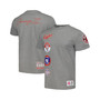 Men's Heather Gray Chicago Cubs Cooperstown Collection City Collection T-shirt