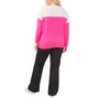 Plus Size Colorblocked Sweater