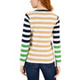 Women's Cotton V-Neck Striped Sweater