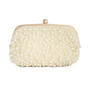 All Over Pearl Pouch Clutch, Created for Macy's