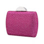 Women's Crystal Minaudiere