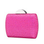 Women's Crystal Minaudiere