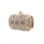 Women's Crystal Embellished Minaudiere