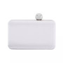 Satin Minaudiere with Crystal Clasp