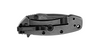Kershaw Cryo Blackwash