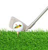 Hawaiian Hula Girl  Golf Balls - 12 Golf Ball Combo