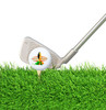 Hawaiian Hula Girl  Golf Balls - 12 Golf Ball Combo
