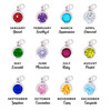 Birthstone Charm Necklace in Silver - Build Your Own