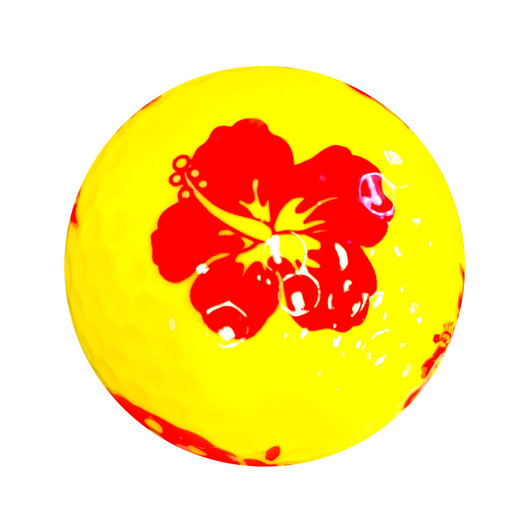 Golf Balls - Red Ladybug and Flowers Imprint on Yellow