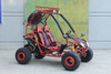 Dongfang 200cc (DF200GSA) GSA Go Kart, Full Size For Adult And Big Kids, Auto With Reverse, Electric/Pull Start