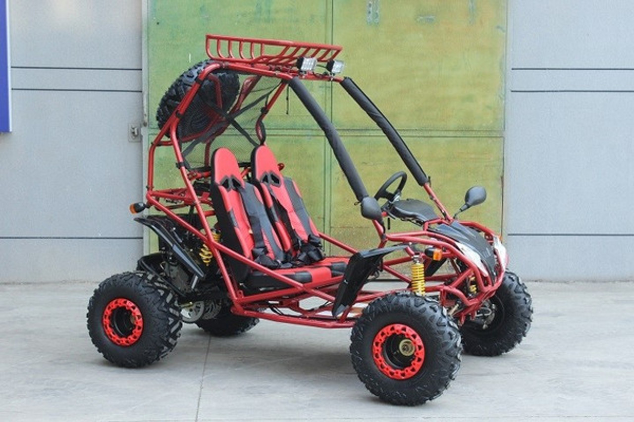 Dongfang 200cc (DF200GSA) GSA Go Kart, Full Size For Adult And Big Kids, Auto With Reverse, Electric/Pull Start