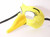 Tweety Bird Canary Yellow Capitano Venetian Nose Masquerade Mask SKU 128