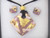 Purple Gold Murano Glass Necklace & Earrings Jewelry Set SKU 3 MG