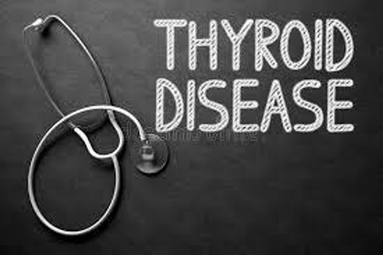 Thyroid Health & Support