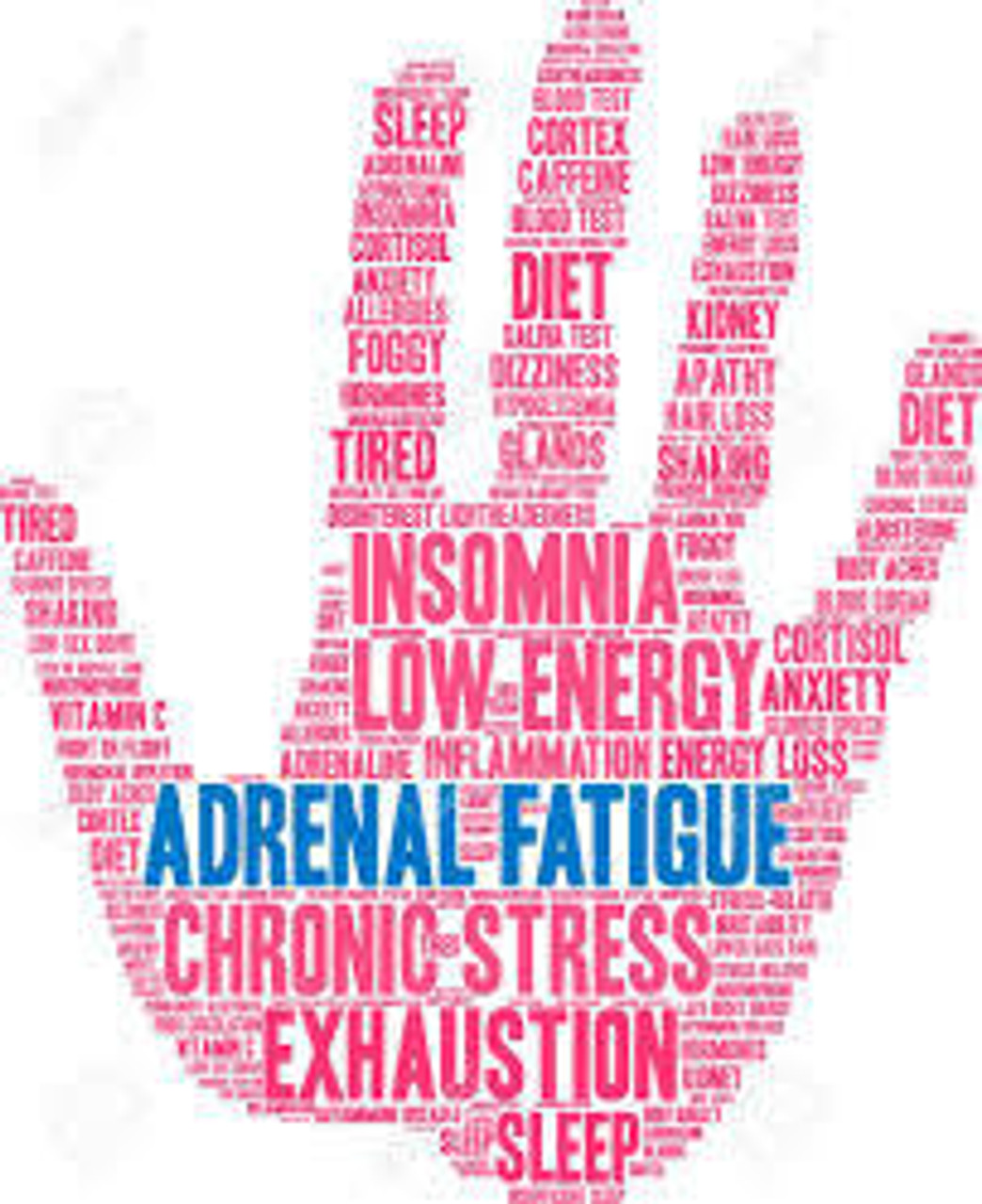 Adrenal, Energy & Hypothalamus-Pituitary Support