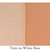 Sample of red ocher in white base Sample of red ocher in white base