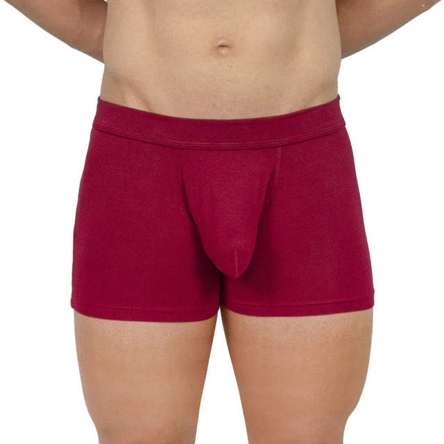 Obviously EliteMan - Boxer Brief 3 inch Leg (Maroon, Large)