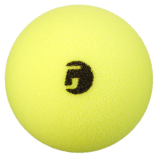 Gamma Librarian Foam Pickleballs