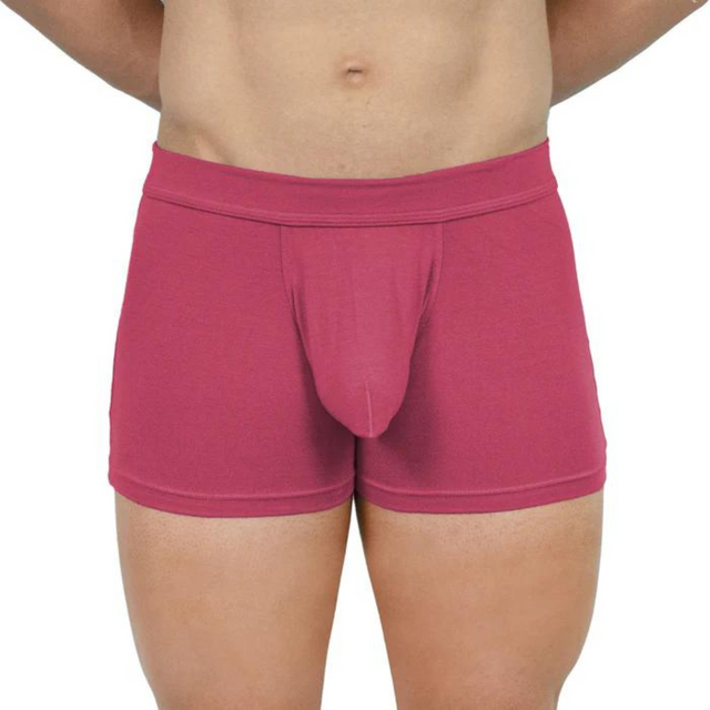 Obviously EliteMan - Boxer Brief 3 inch Leg (Brick, X-Large)