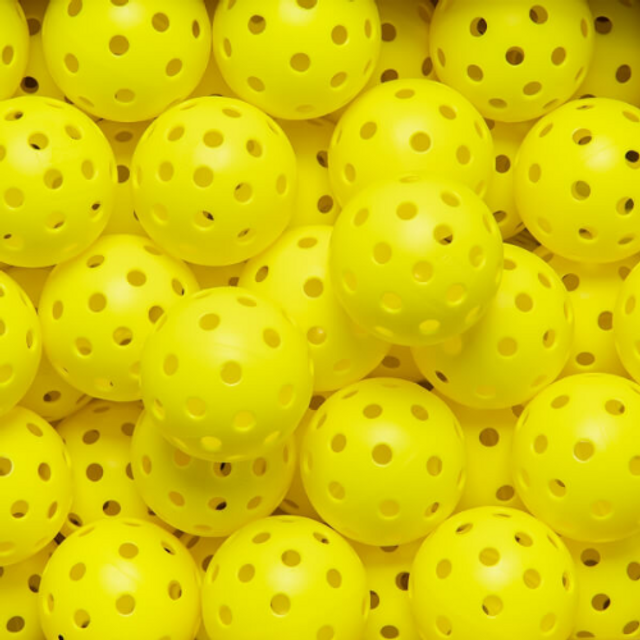 HEAD PRO 40 - 100 Ball Bag