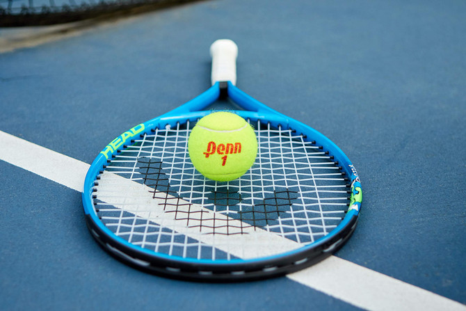 Penn Championship Tennis Balls Case - Regular Duty Felt Pressurized Tennis Balls | 24 Cans | 72 Balls