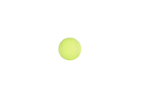 Penn Championship Tennis Balls Case - Regular Duty Felt Pressurized Tennis Balls | 24 Cans | 72 Balls