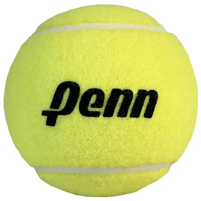 PENN STAGE 3 RED Tennis Balls