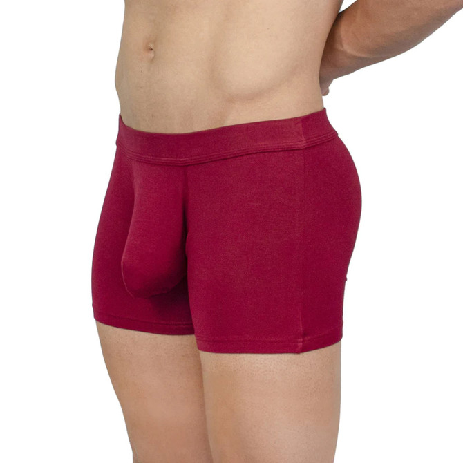 Obviously EliteMan - Boxer Brief 3 inch Leg (Maroon, Large)