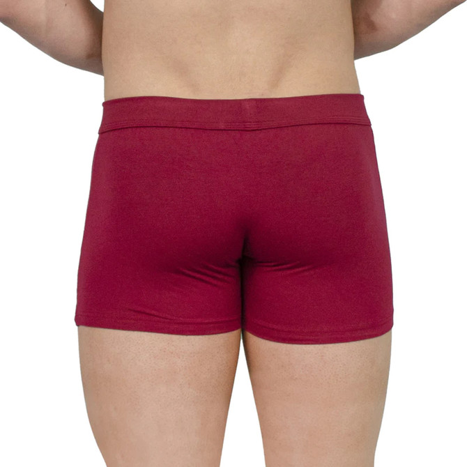 Obviously EliteMan - Boxer Brief 3 inch Leg (Maroon, Large)
