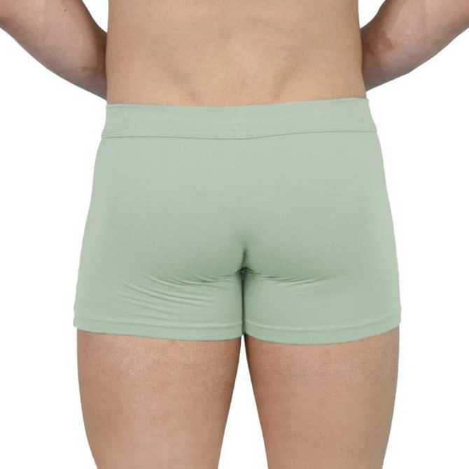 Obviously EliteMan - Boxer Brief 3 inch Leg (Mint, Medium)