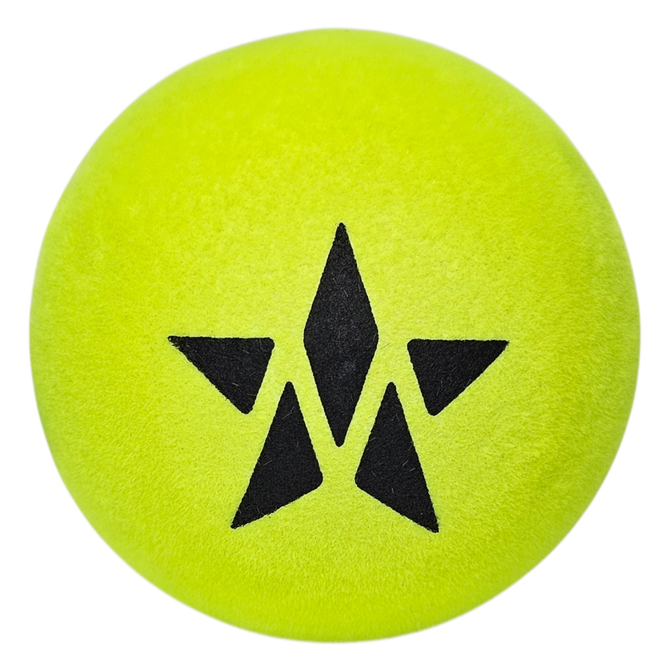 Master Athletics High Visibility (HV) Platform Tennis Ball (Case).