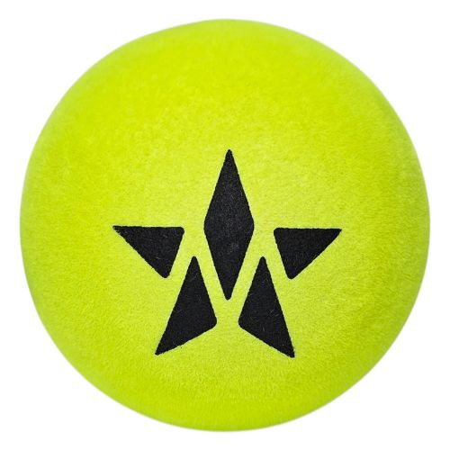 Master Athletics High Visibility (HV) Platform Tennis Ball (Sleeve)