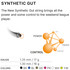 HEAD Synthetic Gut Tennis String